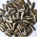 Cheap Sunflower Seeds China Raw Seeds